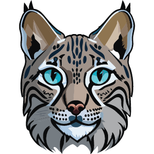 Lynx Point Solutions Logo